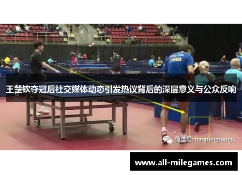 王楚钦夺冠后社交媒体动态引发热议背后的深层意义与公众反响