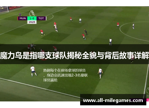 魔力鸟是指哪支球队揭秘全貌与背后故事详解